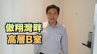 【#代理Paul推介】傲翔灣畔高層B室