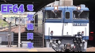 EF64 電気機関車