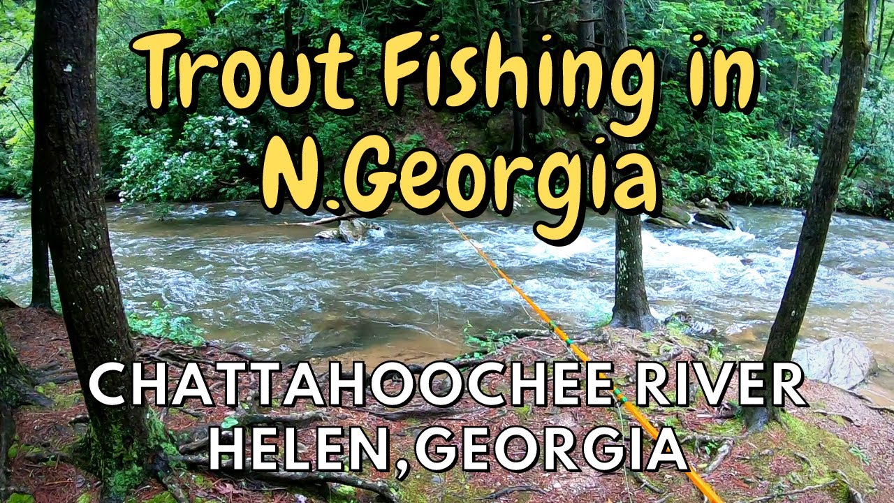 Trout Fishing In North Georgia !!! Small Streams And The Chattahoochee ...