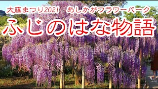 【4k】2021.4.19　ふじのはな物語　あしかがフラワーパーク（夜の部）