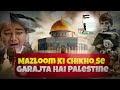 mazloom ki chikh se garajta hai palestine 😢 emotional naat 2023 lofi naat