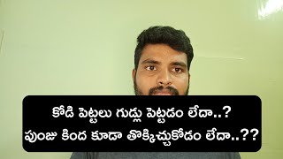 కోడి పెట్టలు గుడ్లు పెట్టడం లేదా...??? పుంజు కింద కూడా తొక్కిడి పడడం లేదా..???