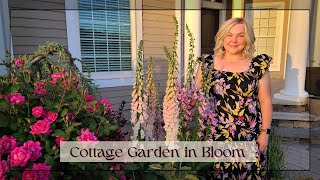 Peaceful Cottage Garden Flowers Tour. GORGEOUS Foxgloves! Join Me In The Garden. Zone 6b June 2022.