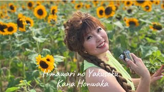 【ひまわりの約束　ハーモニカ】  Kana Honwaka（Cover）harmonica