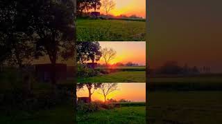 🥀🥀🥀 🥀🥀#nature #shortvideos #lovestatus #goneviral #viralvideos #funny #mahadev #happysawan #shorts