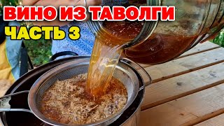 ЦЕЛЕБНЫЙ НАПИТОК ДЛЯ ЗДОРОВЬЯ И ДОЛГОЛЕТИЯ / ВИНО ИЗ ТАВОЛГИ Часть 3@natureMarusya