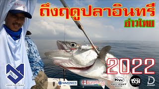 [JM] ถึงฤดูตกปลาอินทรี อ่าวไทย 2022 (ตอนที่ 1)