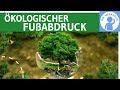 Ökologischer Fußabdruck einfach erklärt - Begriff, Berechnung, Beispiel & Kritik - Ökologie