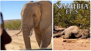 EP-5 Namibia|Twyfelfontein and Rock Engravings in Southern Africa|Searching for Desert Elephants