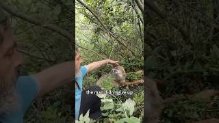 Man Rescues Injured Fox😭An Unbreakable Bond of Trust and Friendship,