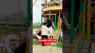 আপনারই বলেন দোষ টা কার 😁😁 #shortvideo  #funnyvideo