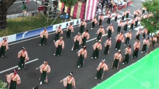 総合クラブとさ「青龍」　～2012高知よさこい祭り(追手筋(南))