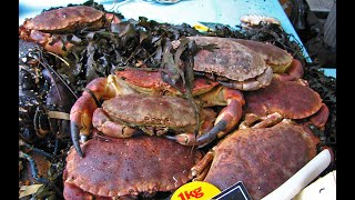 Les Halles de Paris : un marché