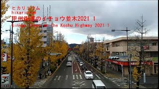 【ブラピカリ】甲州街道のイチョウ並木2021 1 Ginkgo trees on the Koshu Highway 2021 1