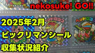 【ビックリマン】nekosukeの所持ビックリマンシール紹介【ビックリマンシール】【2025年2月】