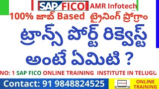 SAP (TR) Transport Request Process - SAP లో ట్రాన్స్ పోర్ట్ రిక్వెస్ట్ అంటే ఏమిటి ?