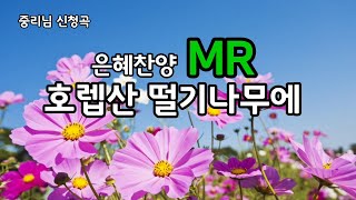 [찬양 MR] 호렙산 떨기나무에  \