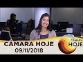 Câmara Hoje – Bolsonaro anuncia deputada Tereza Cristina como Ministra da Agricultura  | 09/11/2018