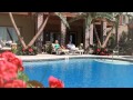 TropicalPalmTrees-Artificial Palm Trees