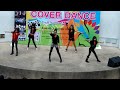 ลูกช้างคัพ cover dance