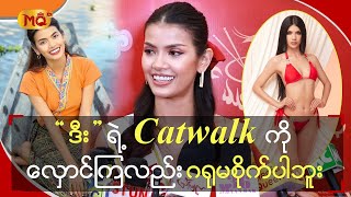 “ ဒီး ” ရဲ့ Catwalk ကို လှောင်ကြလည်းဂရုမစိုက်ပါဘူး