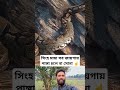 সব জায়গায় ক্ষমতা চলে না