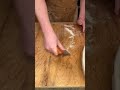 shaping a loaf before super bowl sunday bread sourdough superbaking