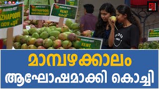 മാമ്പഴക്കാലം ആഘോഷമാക്കി കൊച്ചി | Kochi Mango Fest