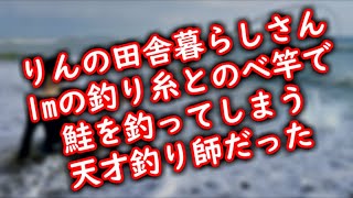 りんの田舎暮らしさん、1mの釣り糸とのべ竿で鮭を釣ってしまう天才釣り師だった