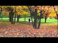 北海道札幌 中島公園の紅葉の美しい紅葉 　autumn leaves in nakajima park sapporo hokkaido.