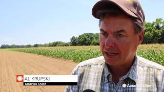 Hot weather helping farms thrive in Long Island