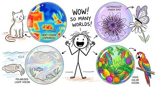 Why Some Animals See Colors We Can't - scientific informative