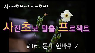 사진 초보 탈출 프로젝트(#16:동네 한바퀴 2)