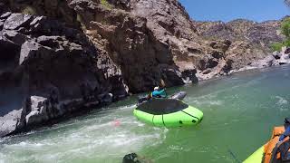 Gunnison Gorge Diana swims again at Cable Rapid