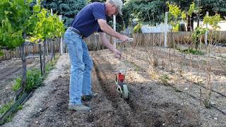 20200523 Planting Peas With Garden Way Planter 3