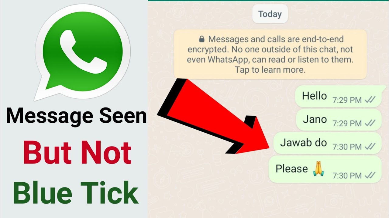 Whatsapp Blue Tick Disable | Whatsapp Message Seen But No Blue Ticks ...