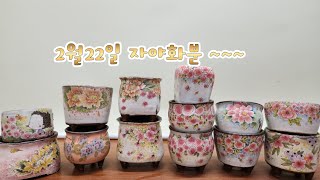 판매완료.2월22일#자야화분#공방화분 #수제화분 #다육화분