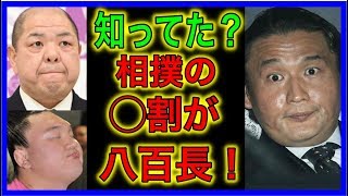 【貴乃花VS白鵬】日馬富士問題が起こった原因をわかりやすく解説してみた。