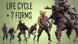 The 7 Forms Of Infected In The Last Of Us