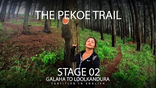 Pekoe Trail Stage 2 Galaha to Loolkandura Solo Subtitled in English #travel #nature #solo #srilanka