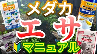 【エサやり完全ガイド】メダカを初めて飼うなら絶対見て！