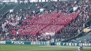 【福岡県】福岡大大濠高校野球応援メドレー　１７春