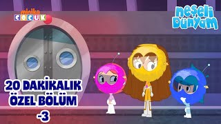 Neşeli Dünyam | 20 Dakikalık Özel Bölüm -3 | minika