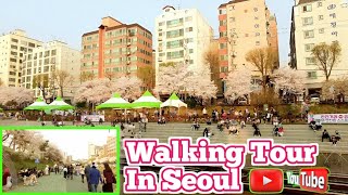 Serene Afternoon Walk Along Bulgwangcheon Stream || Seoul City Stroll