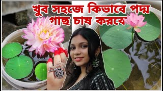 বাড়িতেই পদ্ম চাষ/খুব সহজে বীজ থেকে পদ্ম গাছ/পদ্ম টবের মাটি তৈরী #gardening #lotus #flowers #vlog