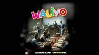 Grenade official - WALIYO  (Audio)