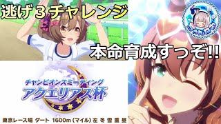 【ウマ娘】チャンミ逃げ３チャレンジ本命のウマ娘を育成していきまっす【グランドライブシナリオ】