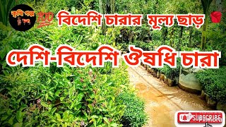 💯 বিদেশি চারা মূল্য ছাড় 🆔 দেশী-বিদেশী ঔষধি চারা🌹🌹🌹🌹🌹