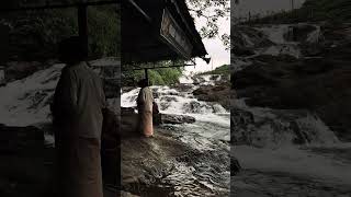 Anchukuzhi... Panjavanam.... #video #travel #explore #waterfall #shorts