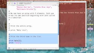 Perl: Working with Subscripts